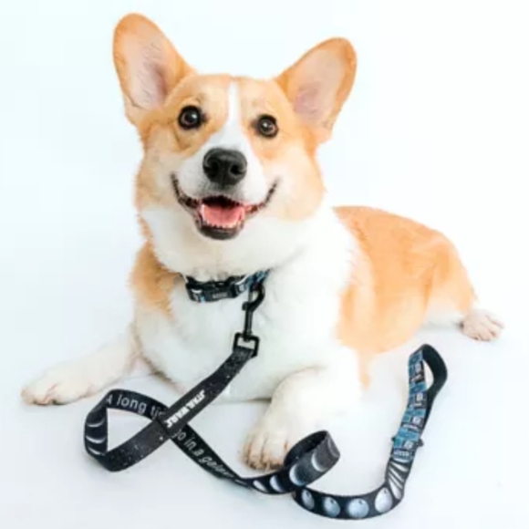 Sassy Woof Where Dogs Are Family Star Wars Dog Leash 48" X 0.8" - Picture 2 of 8